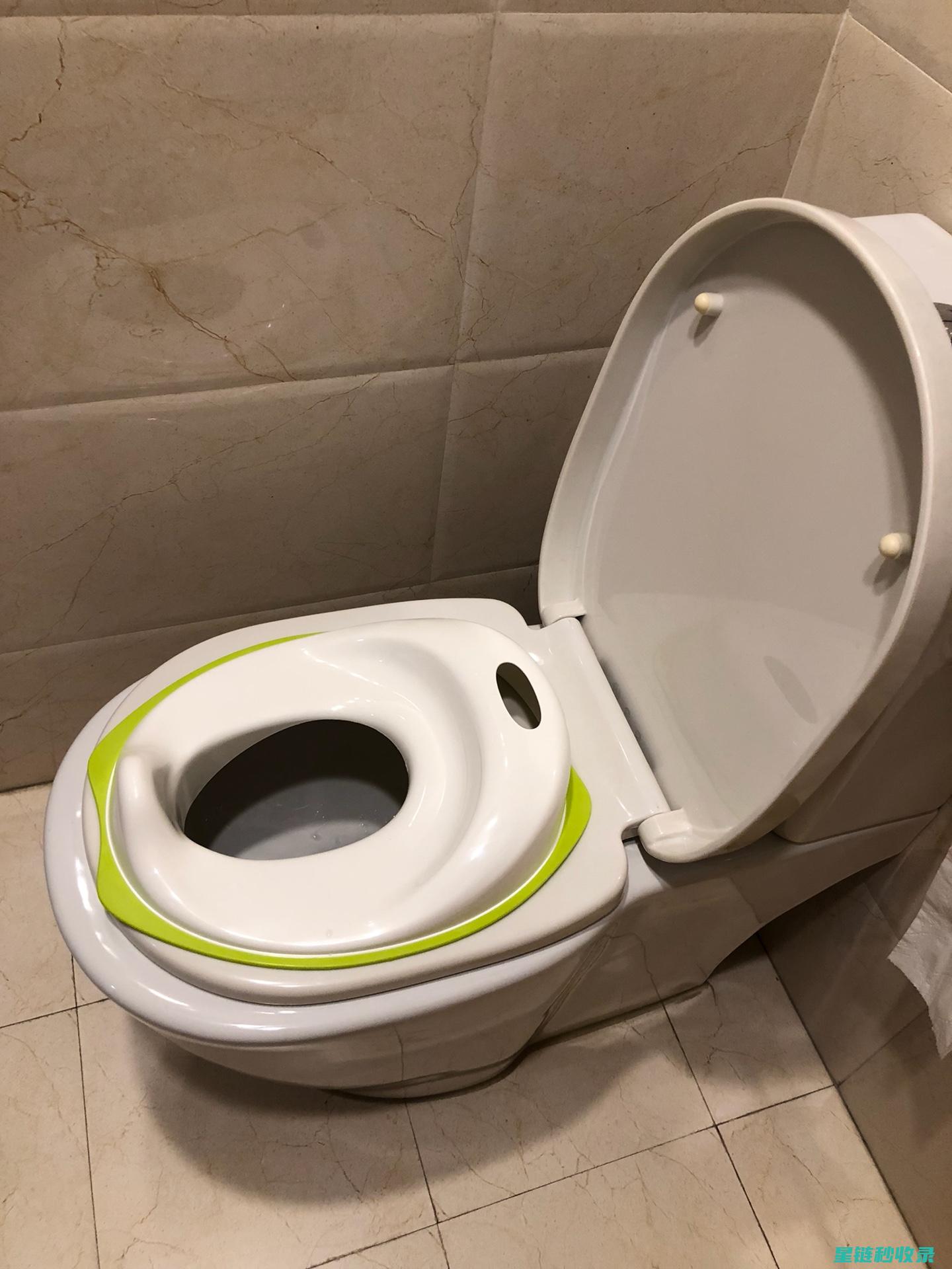 马桶水箱清洁与节水：环保与卫生的双重考量 (马桶水箱清洁蓝色放水里叫什么)