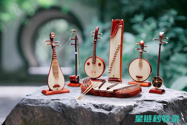 乐器防潮攻略：让你的乐器在潮湿季节也能保持最佳状态 (乐器防虫)